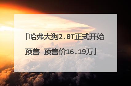 哈弗大狗2.0T正式开始预售 预售价16.19万