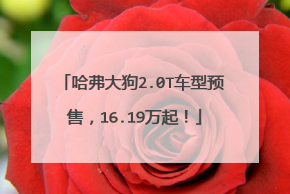 哈弗大狗2.0T车型预售，16.19万起！