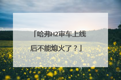 哈弗H2审车上线后不能熄火了？