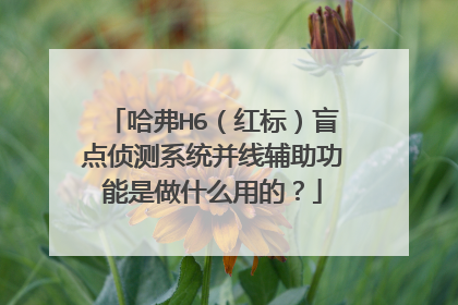 哈弗H6（红标）盲点侦测系统并线辅助功能是做什么用的？