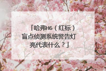 哈弗H6（红标）盲点侦测系统警告灯亮代表什么？