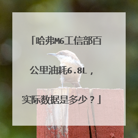 哈弗M6工信部百公里油耗6.8L，实际数据是多少？