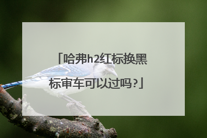 哈弗h2红标换黑标审车可以过吗?