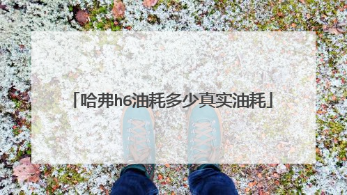 哈弗h6油耗多少真实油耗