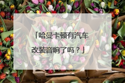 哈曼卡顿有汽车改装音响了吗？