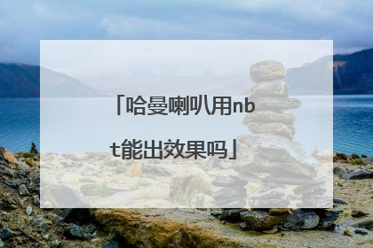 哈曼喇叭用nbt能出效果吗
