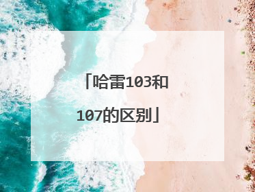 哈雷103和107的区别