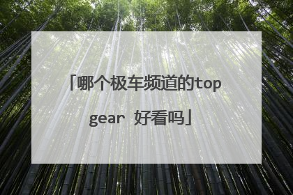 哪个极车频道的top gear 好看吗