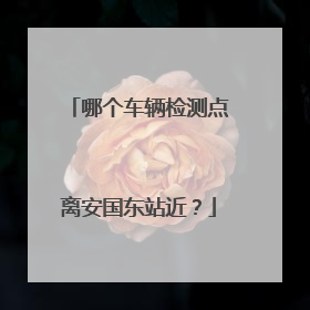 哪个车辆检测点离安国东站近？