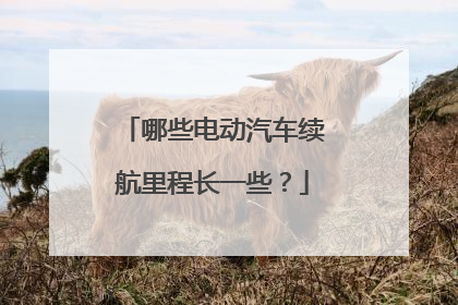 哪些电动汽车续航里程长一些？
