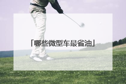 哪些微型车最省油