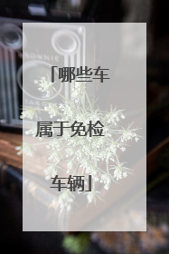 哪些车属于免检车辆