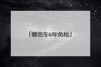 哪些车6年免检