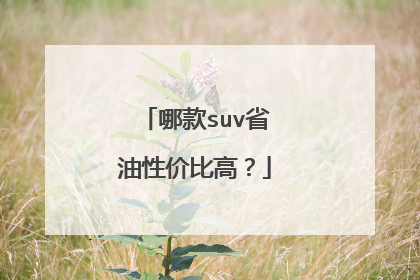 哪款suv省油性价比高？