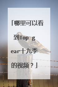 哪里可以看到Top gear十九季的视频？