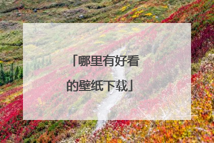 哪里有好看的壁纸下载