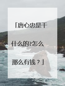 唐心忠是干什么的?怎么那么有钱？