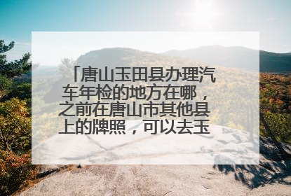 唐山玉田县办理汽车年检的地方在哪，之前在唐山市其他县上的牌照，可以去玉田换年检标吗？需要带什么证件