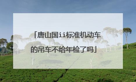 唐山国ii标准机动车的吊车不给年检了吗