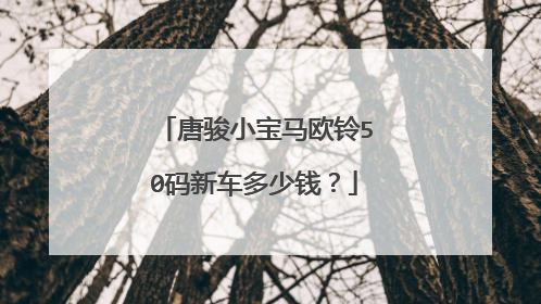 唐骏小宝马欧铃50码新车多少钱？