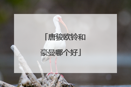 唐骏欧铃和豪曼哪个好