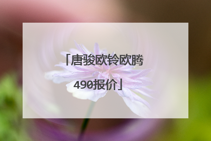 唐骏欧铃欧腾490报价