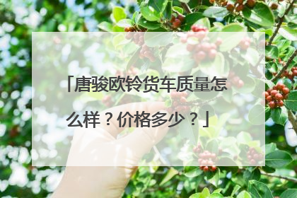 唐骏欧铃货车质量怎么样？价格多少？