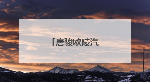 唐骏欧陵汽车的价格