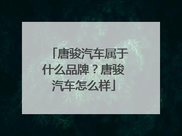 唐骏汽车属于什么品牌？唐骏汽车怎么样