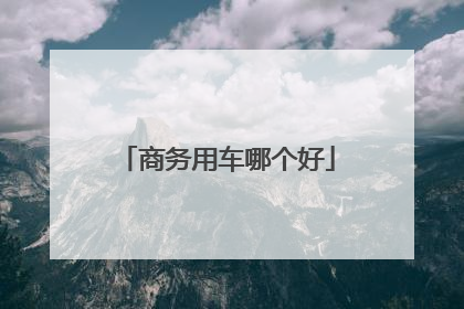 商务用车哪个好