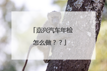 嘉兴汽车年检怎么做？？