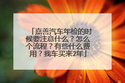 嘉善汽车年检的时候要注意什么？怎么个流程？有些什么费用？我车买来2年