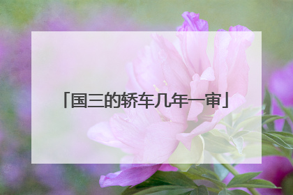 国三的轿车几年一审