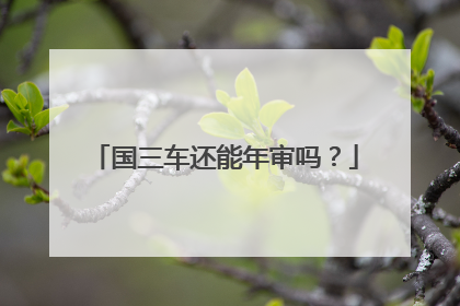 国三车还能年审吗？