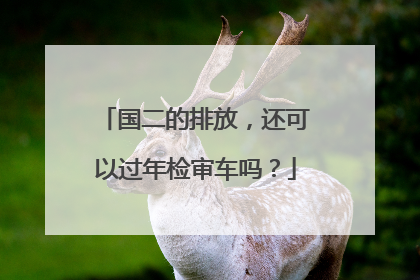 国二的排放，还可以过年检审车吗？