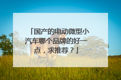 国产的电动微型小汽车哪个品牌的好一点，求推荐？