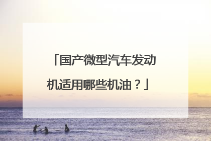 国产微型汽车发动机适用哪些机油？