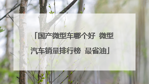 国产微型车哪个好 微型汽车销量排行榜 最省油