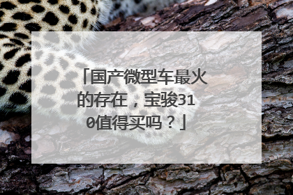 国产微型车最火的存在，宝骏310值得买吗？