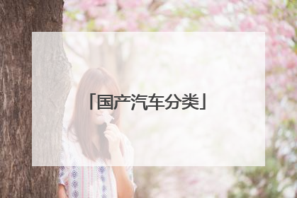国产汽车分类
