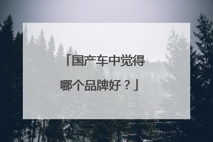 国产车中觉得哪个品牌好？