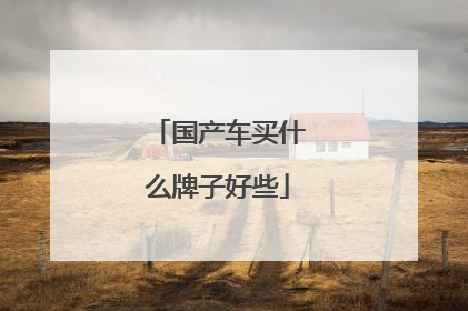 国产车买什么牌子好些