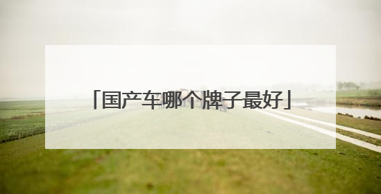 国产车哪个牌子最好