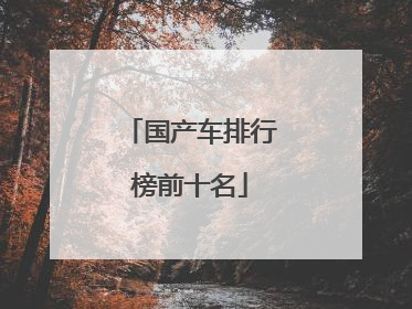 国产车排行榜前十名