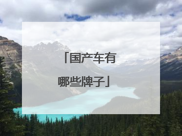 国产车有哪些牌子