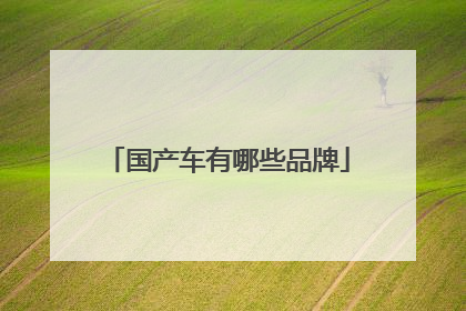 国产车有哪些品牌