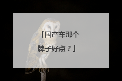 国产车那个牌子好点？