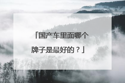 国产车里面哪个牌子是最好的？