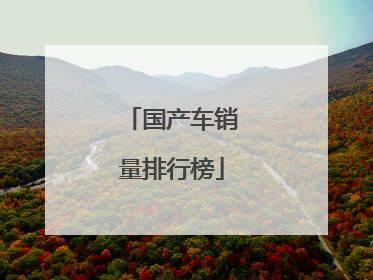国产车销量排行榜