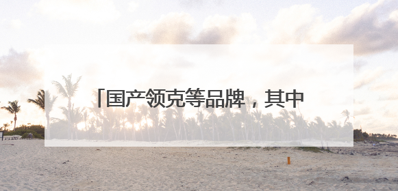 国产领克等品牌，其中哪个性价比最高呢？